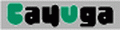 Logo CAYUGA